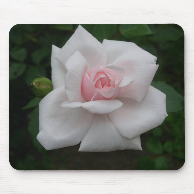 Mousepad Rosa do rosa (Frente)