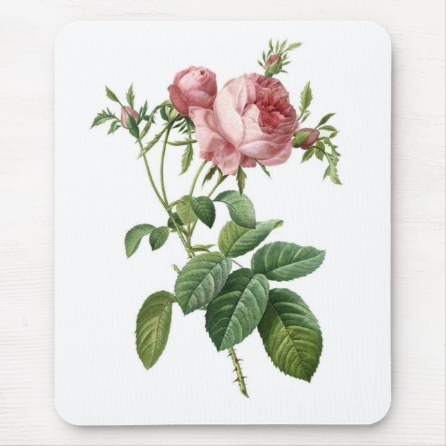 Mousepad Rosa do rosa (Frente)