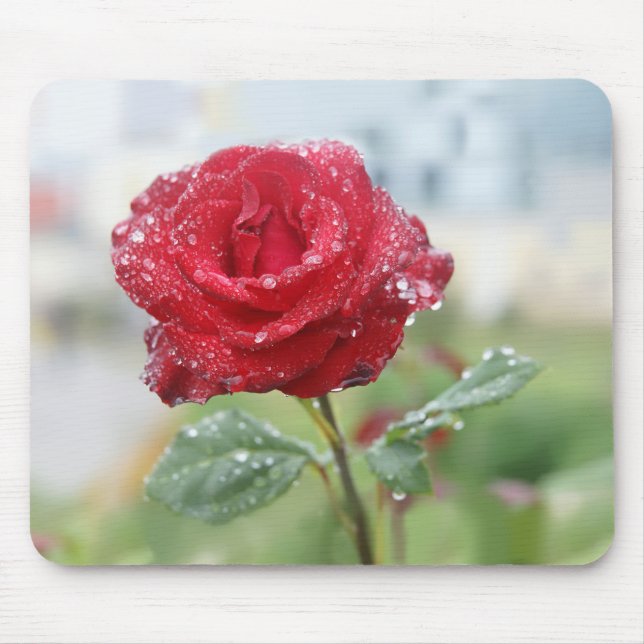 Mousepad Rosa em gotas de chuva (Frente)