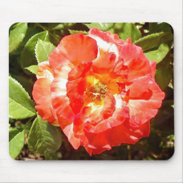 Mousepad Rosa ensolarado.......