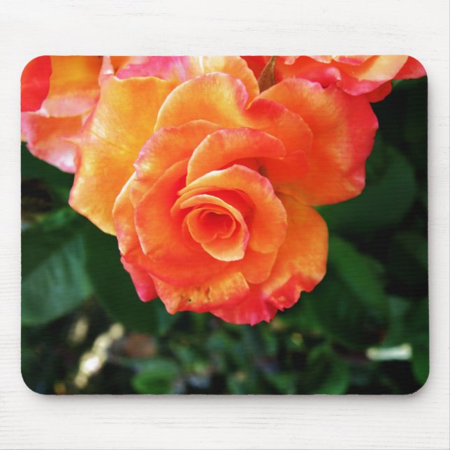 Mousepad Rosa laranja (Frente)