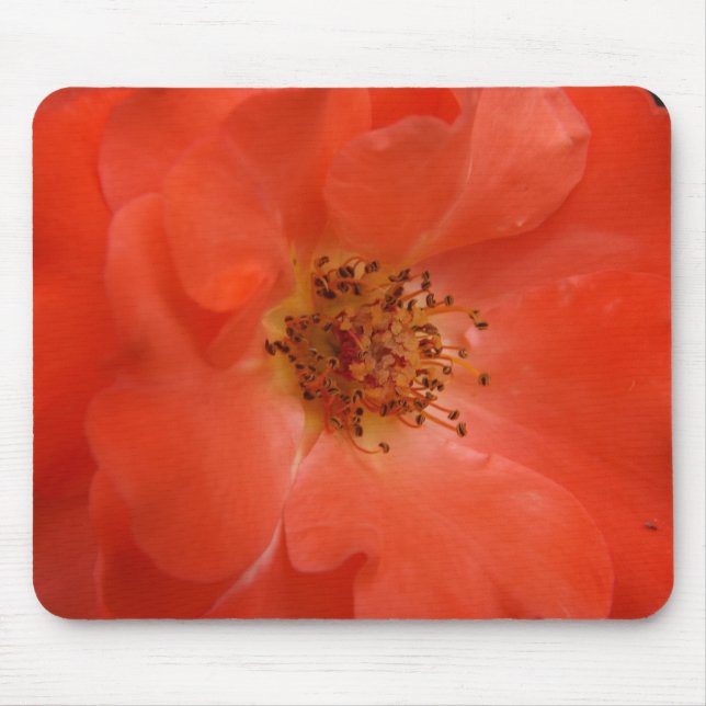 Mousepad Rosa laranja (Frente)