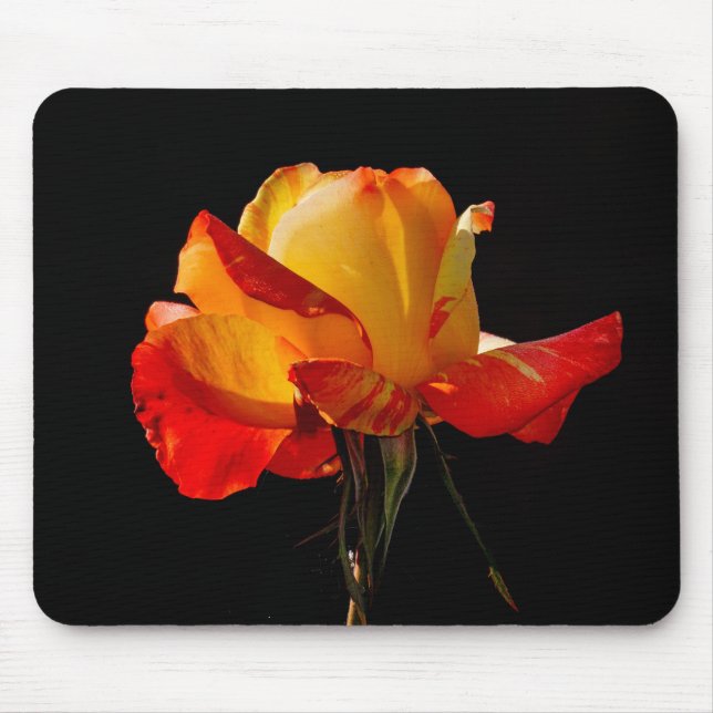 Mousepad Rosa Laranja Peachy (Frente)