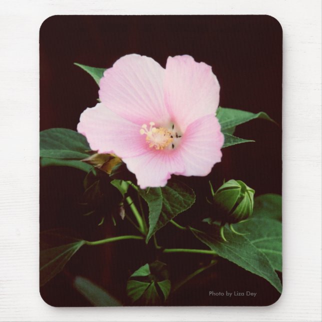 Mousepad rosa Mallow (Frente)