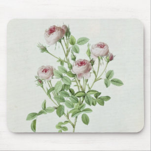 Mousepad Rosa Pomponia, 'dos rosas de Les