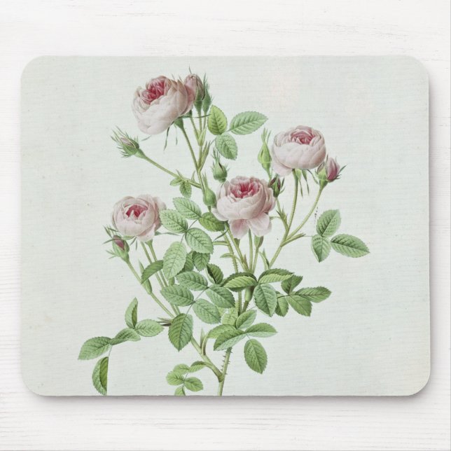 Mousepad Rosa Pomponia, 'dos rosas de Les (Frente)