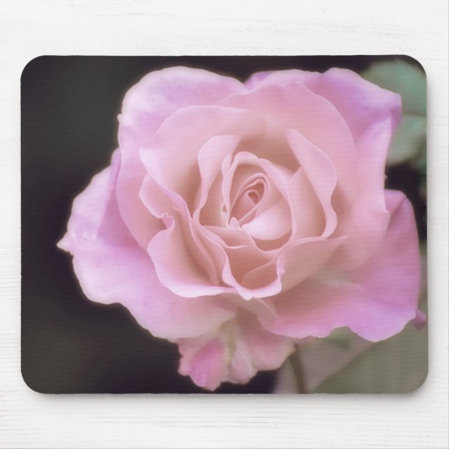 Mousepad Rosa rosa magnífica (Frente)