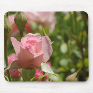 Mousepad Rosa Rosa Rosa