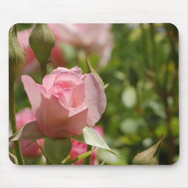 Mousepad Rosa Rosa Rosa (Frente)