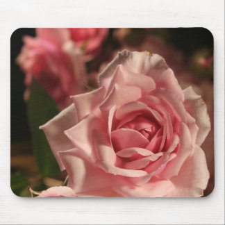 Mousepad Rosa Rosa Rosa Rosa