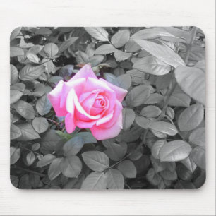 Mousepad Rosa Rosa Rosa Rosa bonito Branca