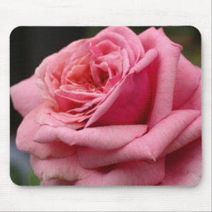 Mousepad Rosa Rosa Rosa Rosa I Bonito Fotografia Floral