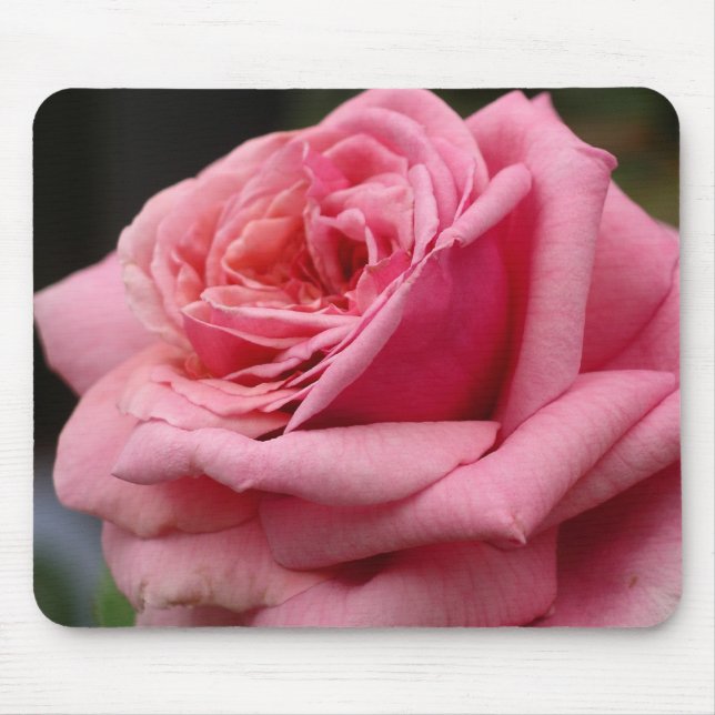 Mousepad Rosa Rosa Rosa Rosa I Bonito Fotografia Floral (Frente)