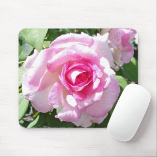 Mousepad Rosa Rosa Rosa Rosa Rosa Rosa Rosa Rosa R