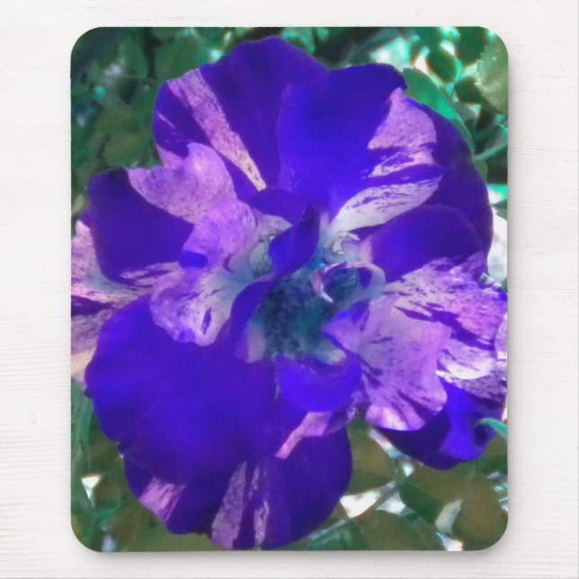 Mousepad Rosa Variegada Roxa (Frente)