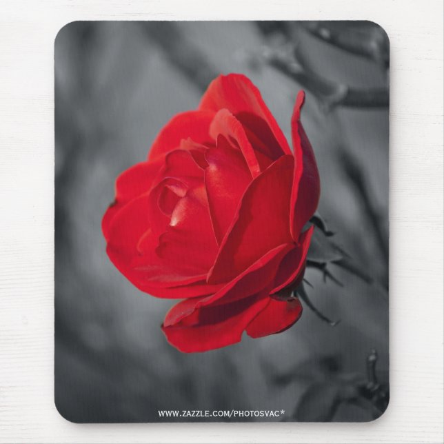 Mousepad Rosa Vermelha (Frente)