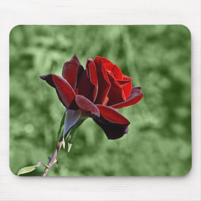 Mousepad Rosa Vermelha (Frente)