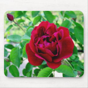 Mousepad Rosa vermelha com botão