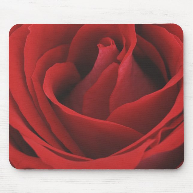 Mousepad Rosa vermelha de florescência (Frente)