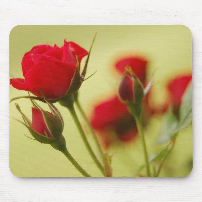 Mousepad Rosa vermelha Delicada (Frente)