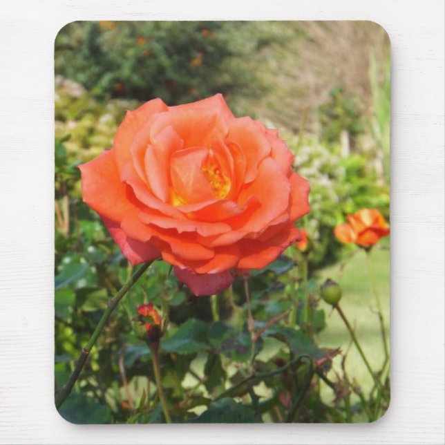 Mousepad Rosa vermelha do mouse (Frente)