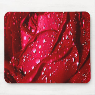 Mousepad Rosa vermelha do solteiro na proteção do mouse c
