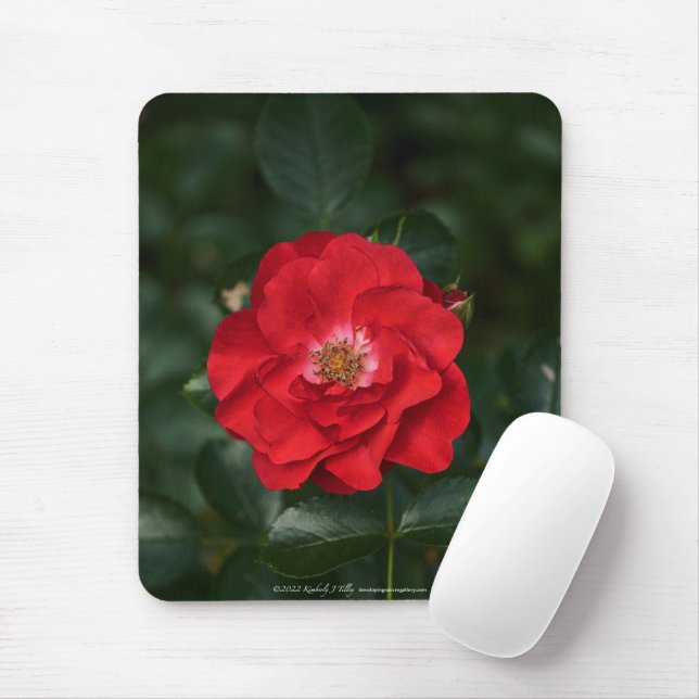 Mousepad Rosa vermelha P6568 (Com mouse)