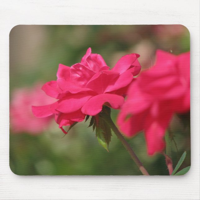 Mousepad Rosas (Frente)
