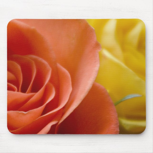 Mousepad Rosas alaranjados & amarelos (Frente)