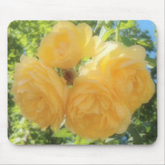 Mousepad Rosas amarelos