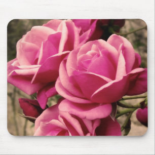 Mousepad Rosas cor-de-rosa do Pirouette