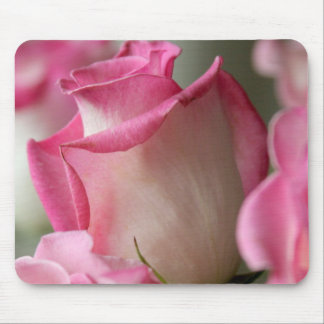 Mousepad Rosas cor-de-rosa e brancos
