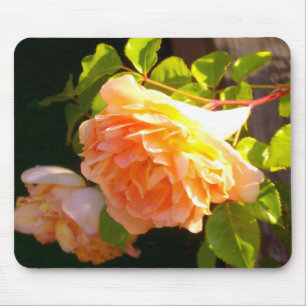 Mousepad Rosas de Pêssego do País