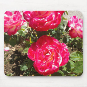 Mousepad Rosas do Jardim Vermelho
