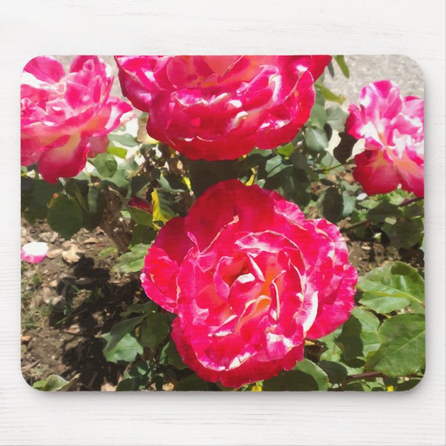 Mousepad Rosas do Jardim Vermelho (Frente)