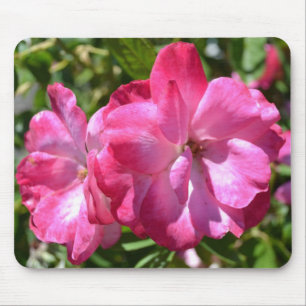 Mousepad Rosas do verão