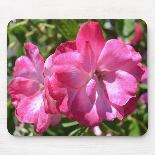 Mousepad Rosas do verão (Frente)
