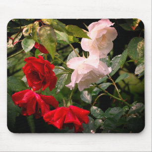 Mousepad Rosas encharcados