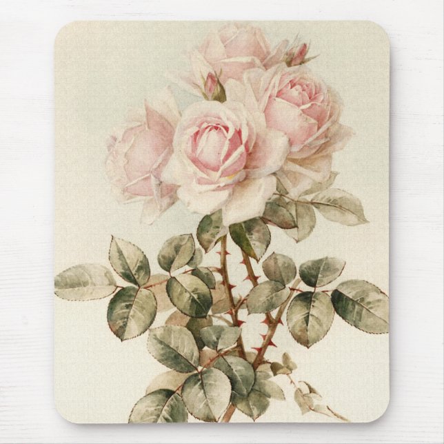 Mousepad Rosas românticos do Victorian do vintage (Frente)