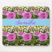 Rosas Rosa Bons e Rato Floral das Disies