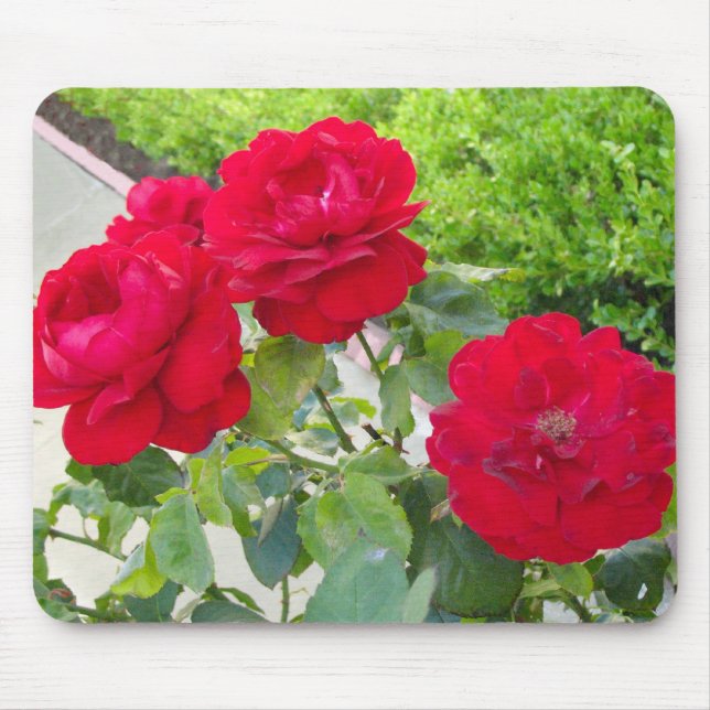 Mousepad Rosas vermelhas (Frente)