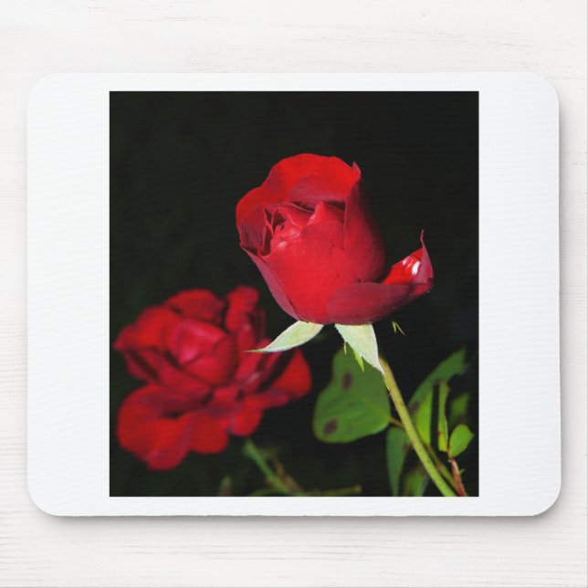 Mousepad Rosas vermelhas (Frente)