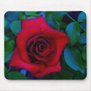 Mousepad Rosas vermelhas com tons azuis
