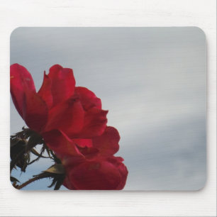 Mousepad Rosas vermelhas contra o céu azul brilhante