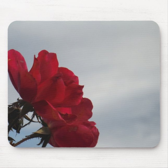 Mousepad Rosas vermelhas contra o céu azul brilhante (Frente)