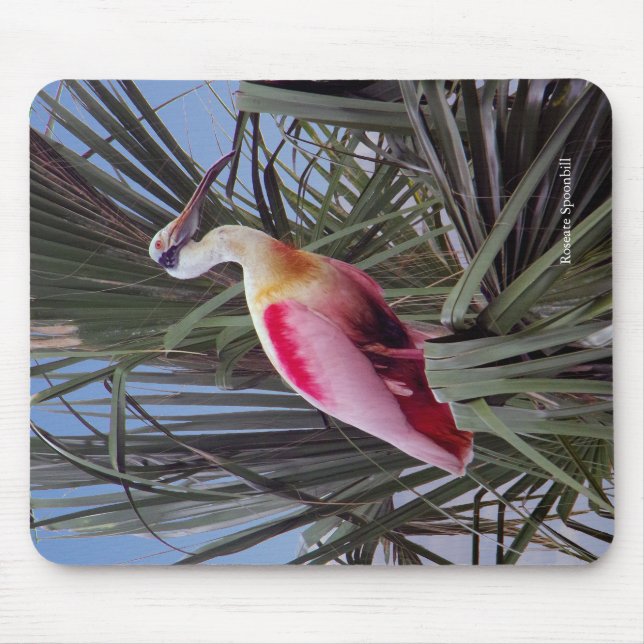 Mousepad Roseate Spoonbill (Frente)
