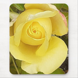 Mousepad Rosebud Amarela