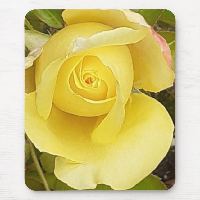 Mousepad Rosebud Amarela (Frente)
