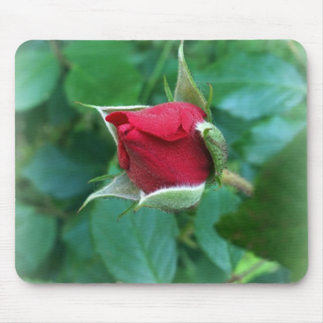 Mousepad rosebuda vermelha (Frente)
