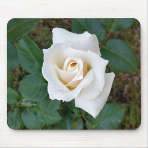 Mousepad rosebusto branco
